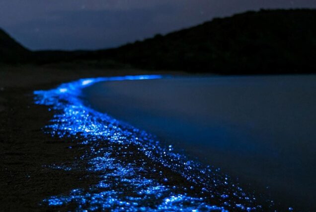 Islas del Rosario con Plancton